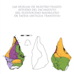 Las huellas de nuestro pasado. Estudio del yacimiento del Pleistoceno madrileño de Tafesa (antigua Transfesa)