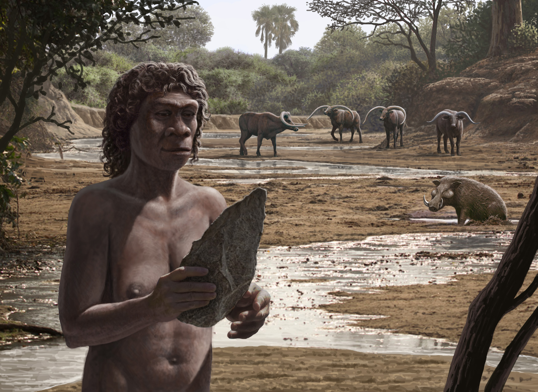 En África hace 1,7 millones de años: el origen del Achelense
